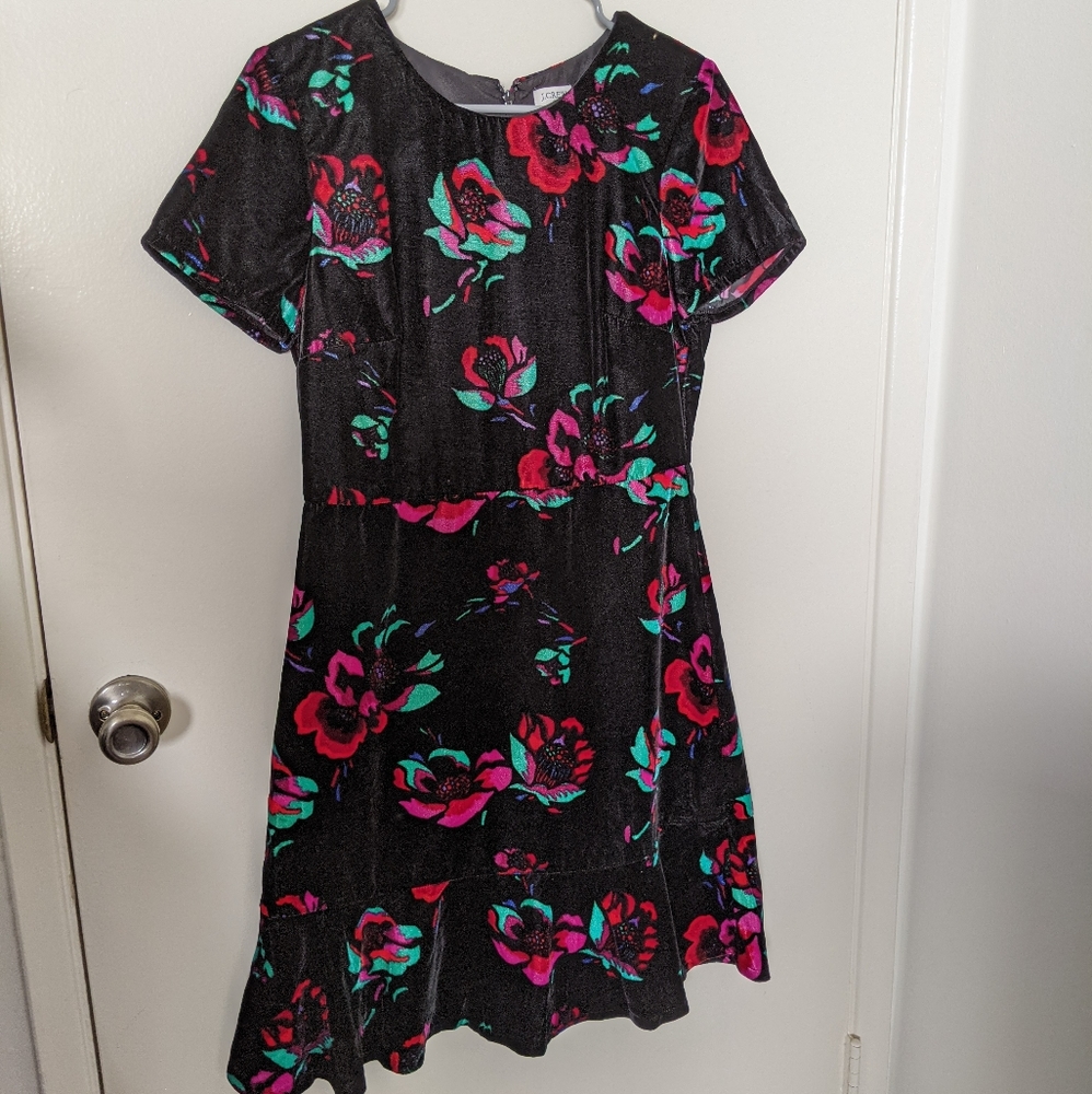 Velvet floral print fit and flare dress